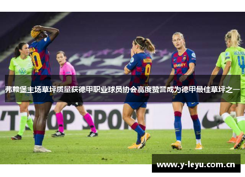 弗赖堡主场草坪质量获德甲职业球员协会高度赞誉成为德甲最佳草坪之一 弗赖堡主场草坪质量获德甲职业球员协会高度赞誉成为德甲最佳草坪之一