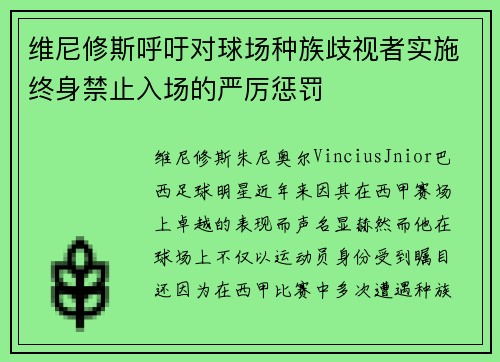 维尼修斯呼吁对球场种族歧视者实施终身禁止入场的严厉惩罚 维尼修斯呼吁对球场种族歧视者实施终身禁止入场的严厉惩罚