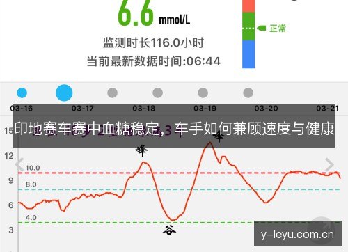 印地赛车赛中血糖稳定，车手如何兼顾速度与健康